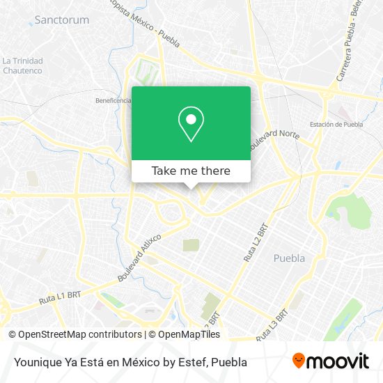 Younique Ya Está en México by Estef map