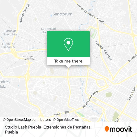 Studio Lash Puebla- Extensiones de Pestañas map