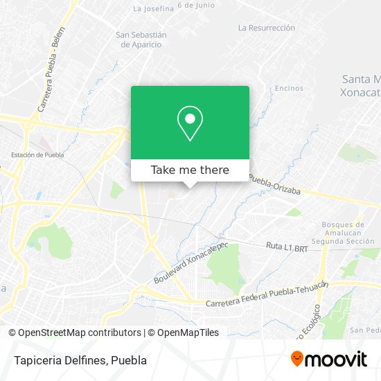Mapa de Tapiceria Delfines