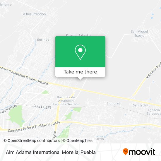 Mapa de Aim Adams International Morelia