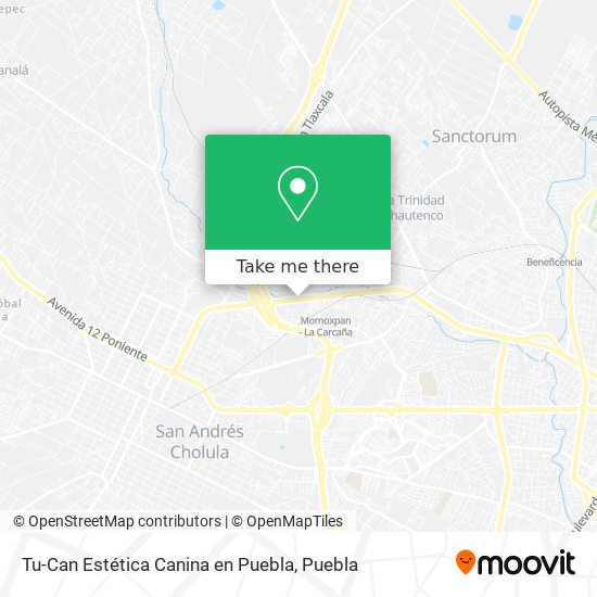 Mapa de Tu-Can Estética Canina en Puebla