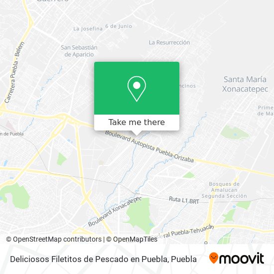 Mapa de Deliciosos Filetitos de Pescado en Puebla