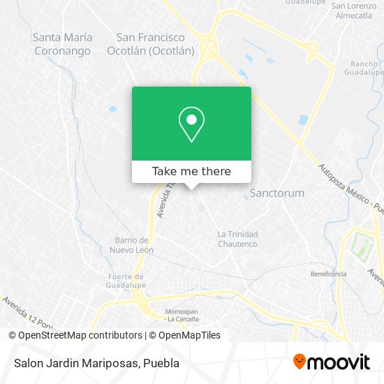 Mapa de Salon Jardin Mariposas