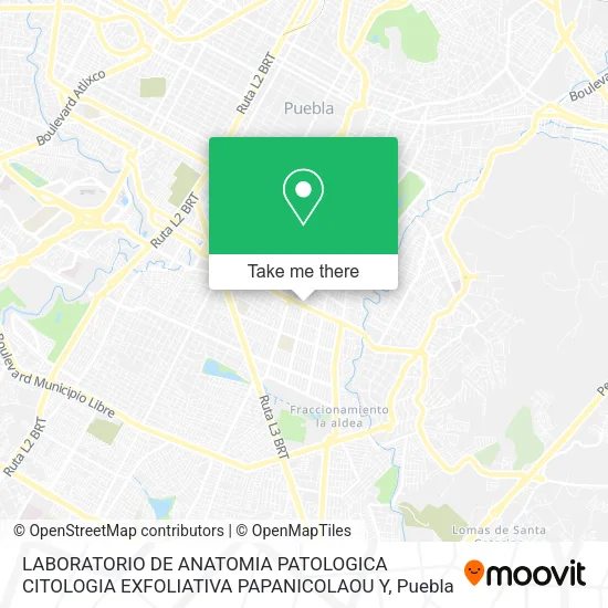 Mapa de LABORATORIO DE ANATOMIA PATOLOGICA CITOLOGIA EXFOLIATIVA PAPANICOLAOU Y
