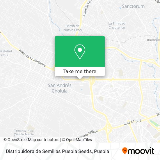Distribuidora de Semillas Puebla Seeds map