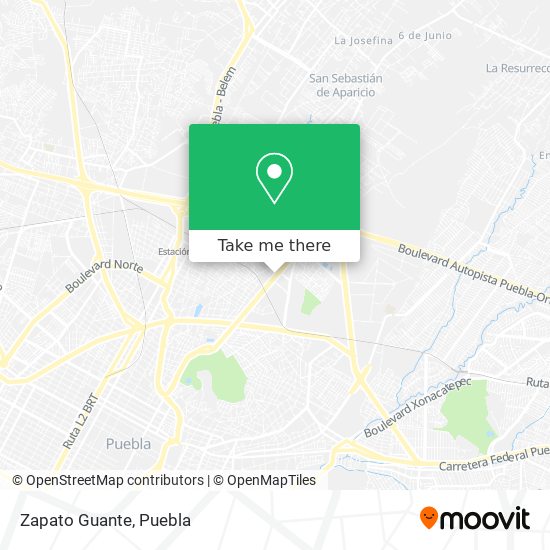 Zapato Guante map