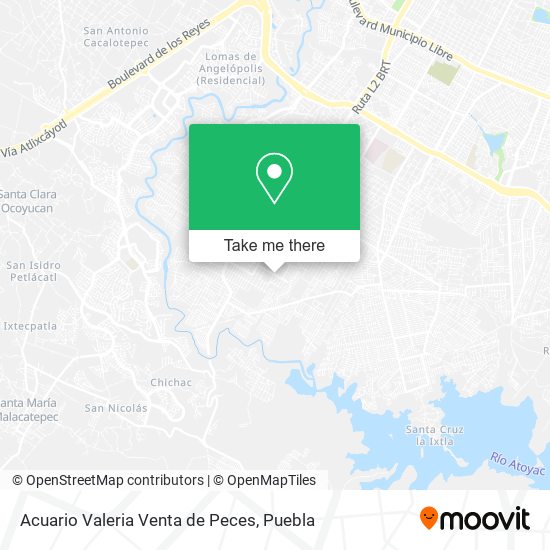 Acuario Valeria Venta de Peces map