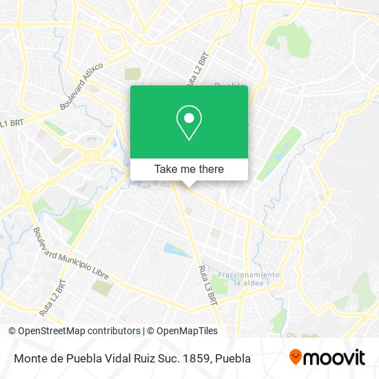 Mapa de Monte de Puebla Vidal Ruiz Suc. 1859
