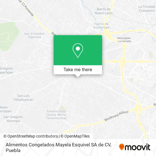 Mapa de Alimentos Congelados Mayela Esquivel SA de CV