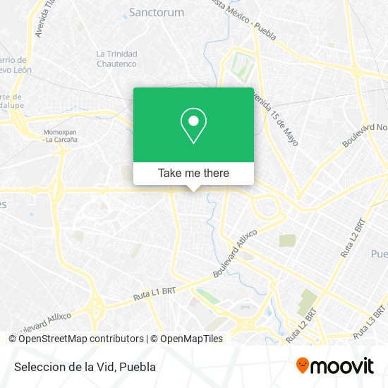 Mapa de Seleccion de la Vid
