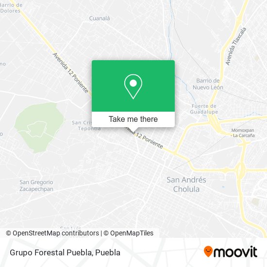 Grupo Forestal Puebla map