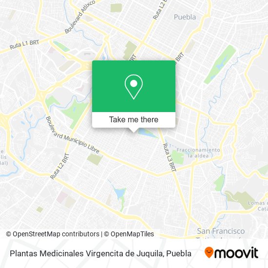 Mapa de Plantas Medicinales Virgencita de Juquila