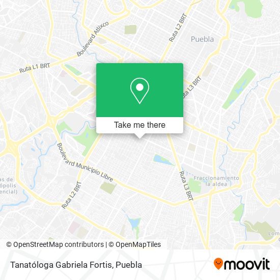 Tanatóloga Gabriela Fortis map
