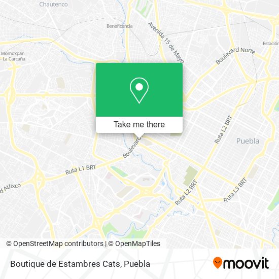 Boutique de Estambres Cats map