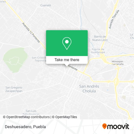 Mapa de Deshuesadero