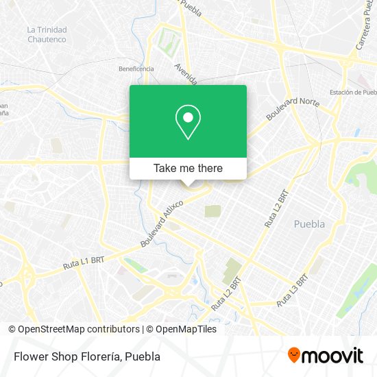 Mapa de Flower Shop Florería