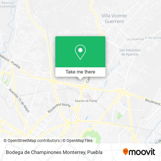 Bodega de Champinones Monterrey map