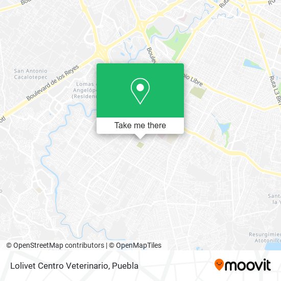 Lolivet Centro Veterinario map