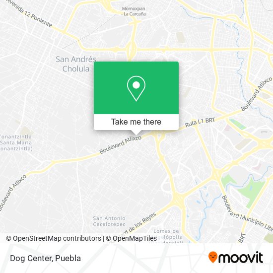 Dog Center map