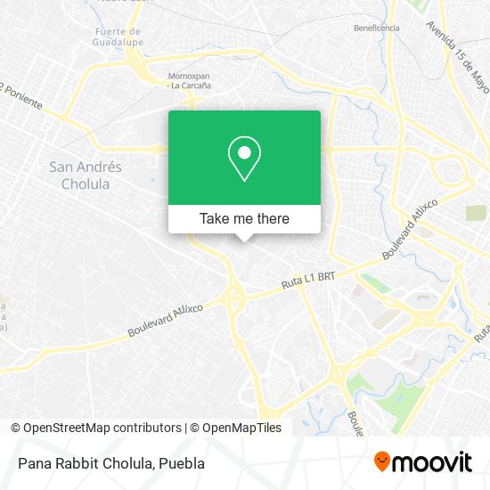 Pana Rabbit Cholula map