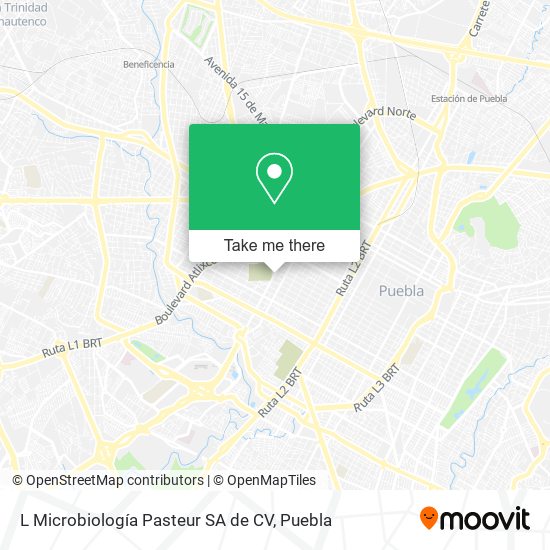 L Microbiología Pasteur SA de CV map