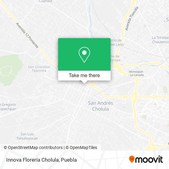 Mapa de Innova Florería Cholula