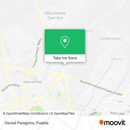 Mapa de Dental Peregrino