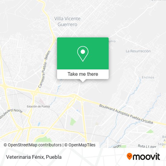 Mapa de Veterinaria Fénix