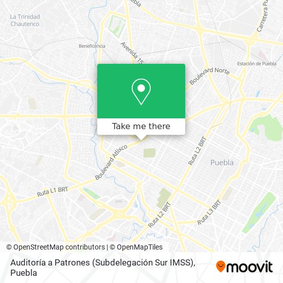 Mapa de Auditoría a Patrones (Subdelegación Sur IMSS)