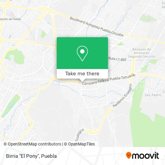 Mapa de Birria "El Pony"