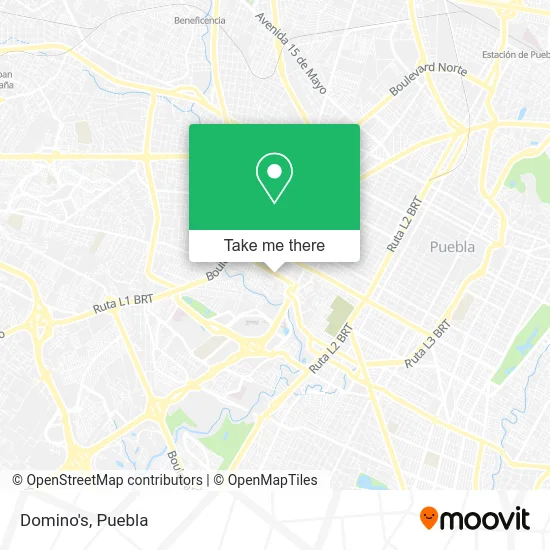 Domino's map