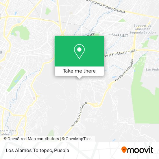 Los Álamos Toltepec map
