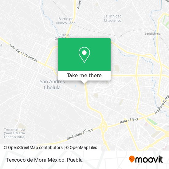 Texcoco de Mora México map