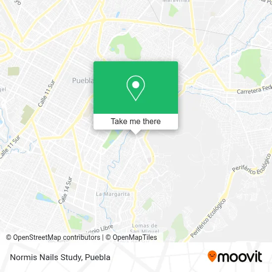 Normis Nails Study map