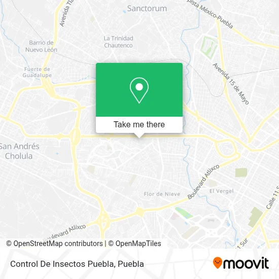 Control De Insectos Puebla map