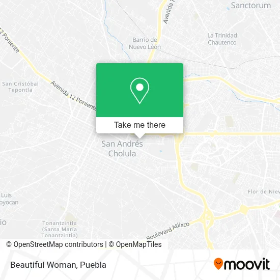 Beautiful Woman map