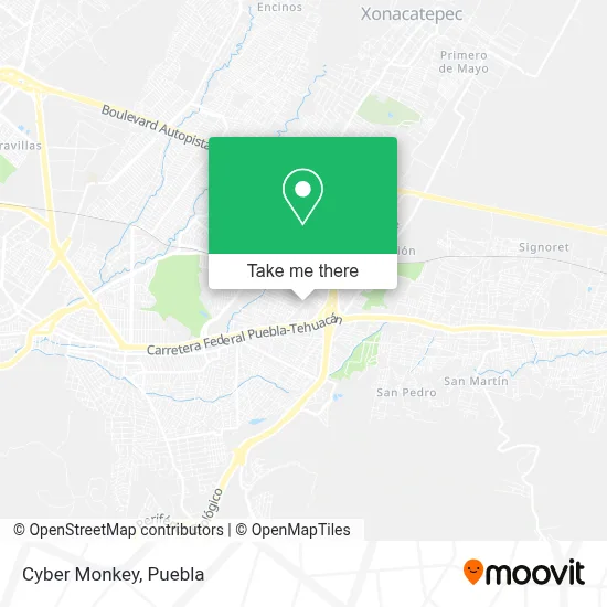 Cyber Monkey map