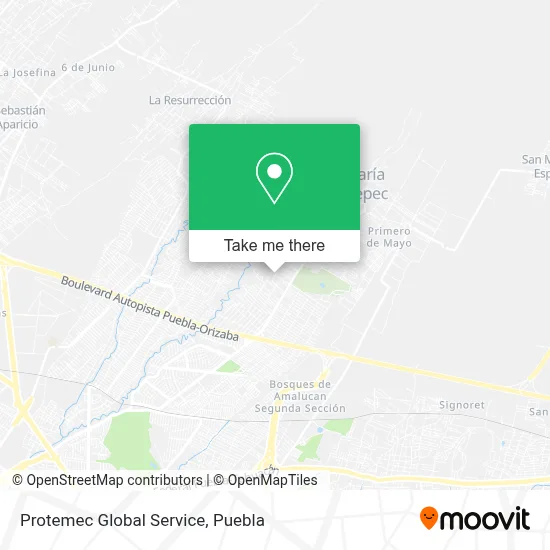 Protemec Global Service map