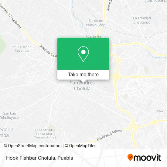 Hook Fishbar Cholula map