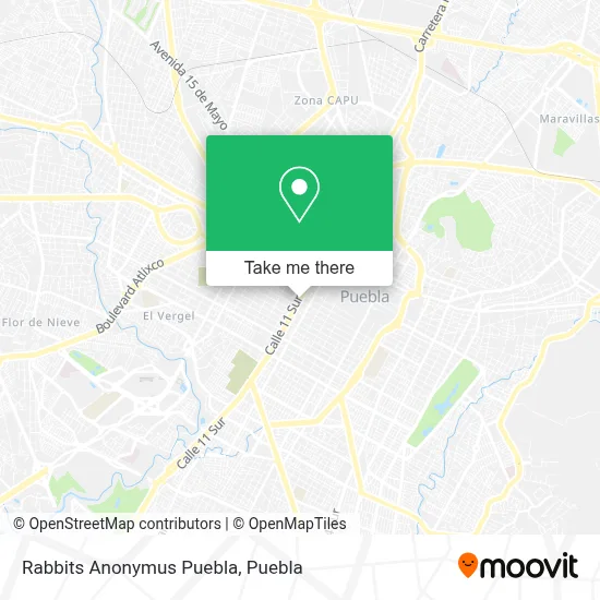 Rabbits Anonymus Puebla map