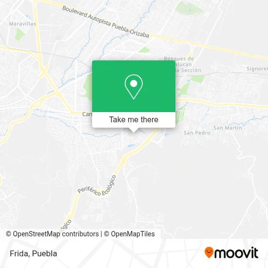 Frida map