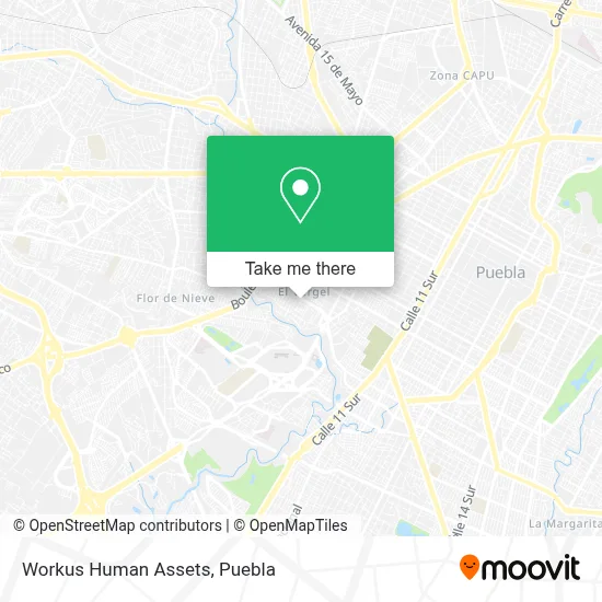 Workus Human Assets map