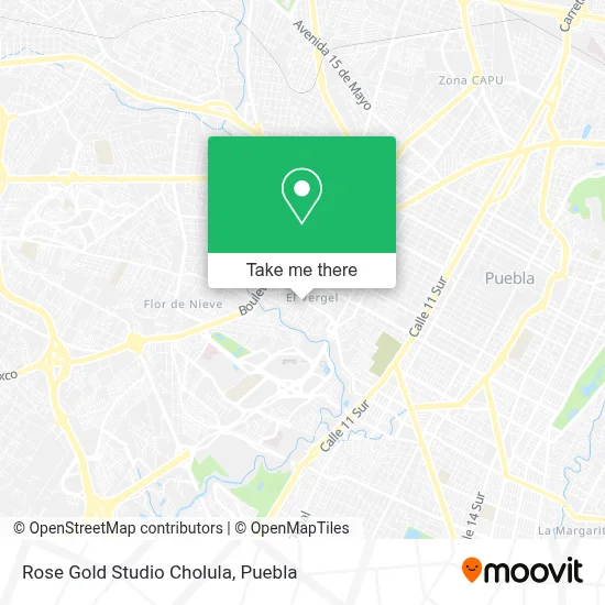 Rose Gold Studio Cholula map