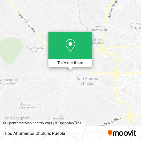 Los Ahumados Cholula map