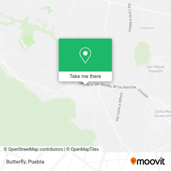 Butterfly map