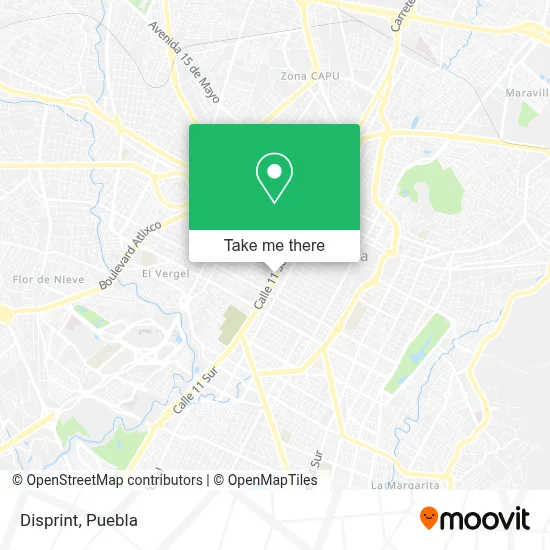 Disprint map