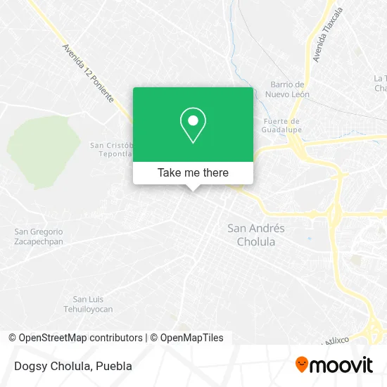 Dogsy Cholula map