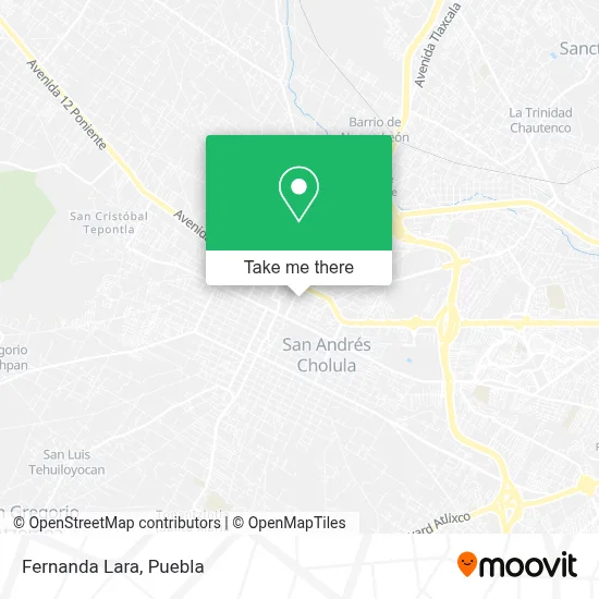 Fernanda Lara map