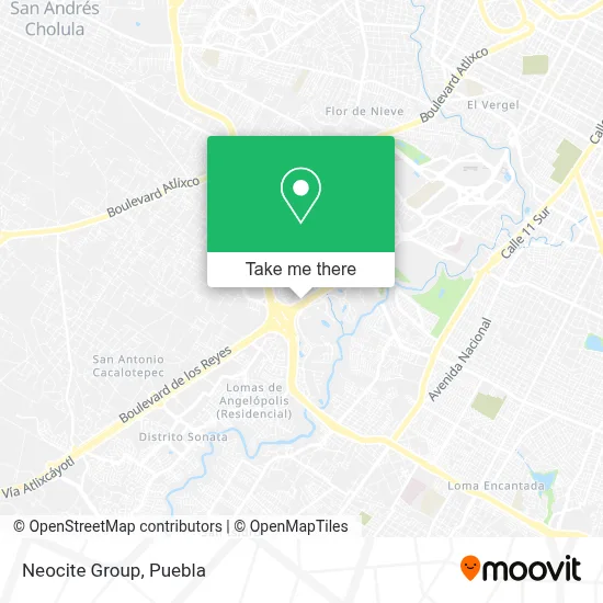 Neocite Group map