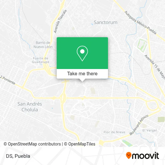 DS map